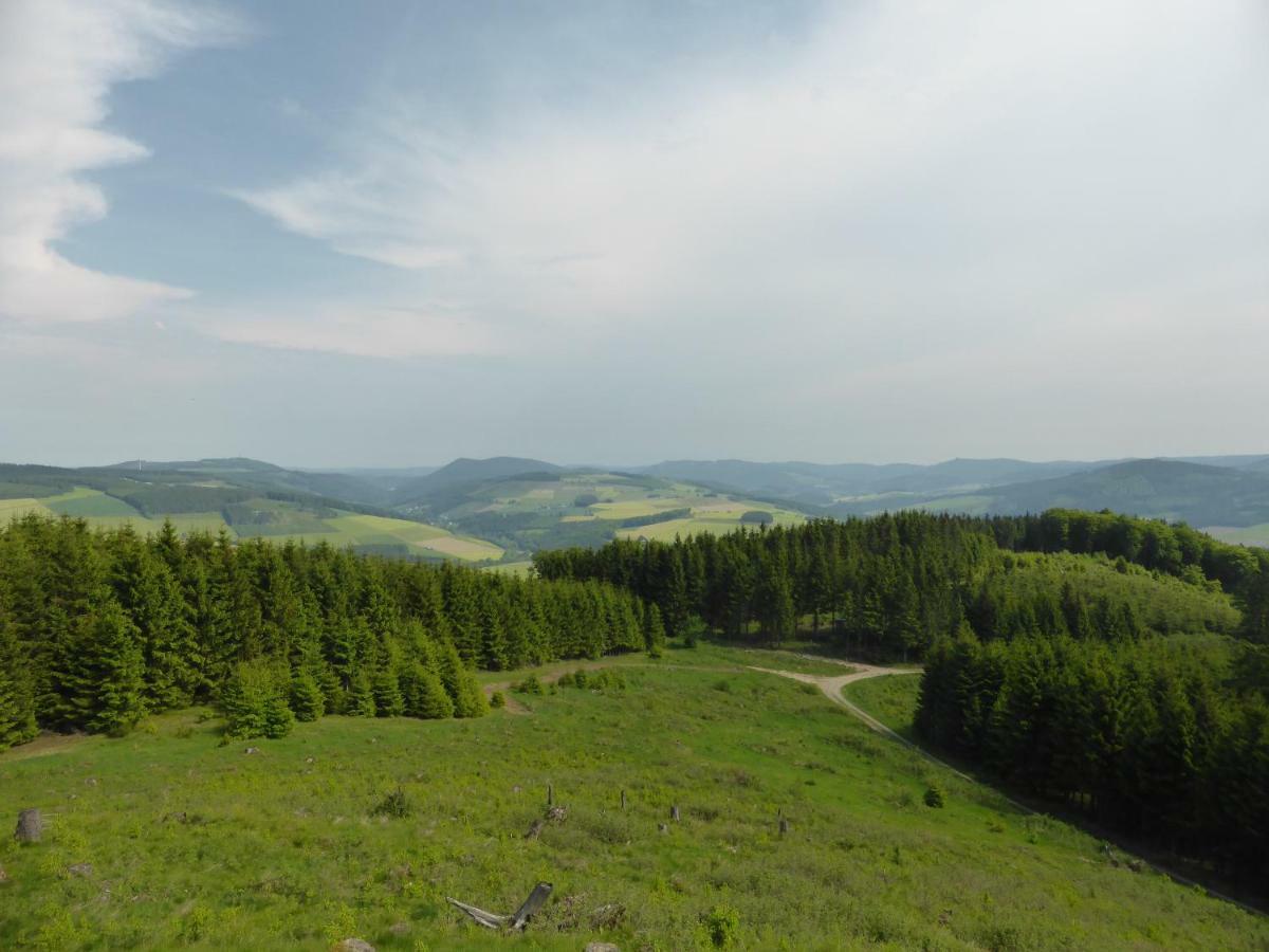 Das Nest Winterberg Zewnętrze zdjęcie