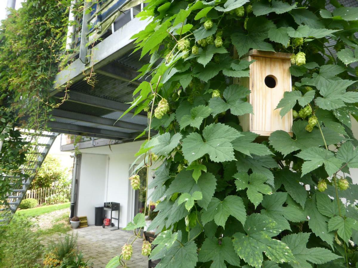 Das Nest Winterberg Zewnętrze zdjęcie